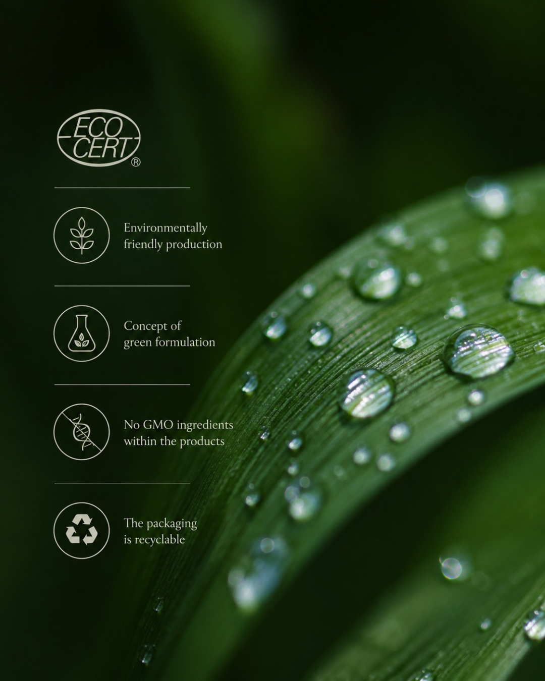 REPAIR Mist – Leave-In