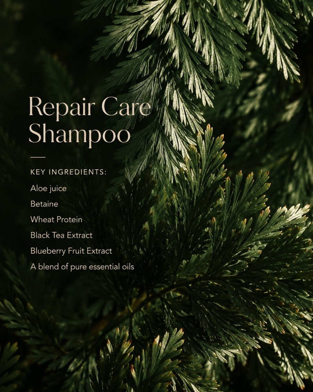 Repair Care Shampoo
