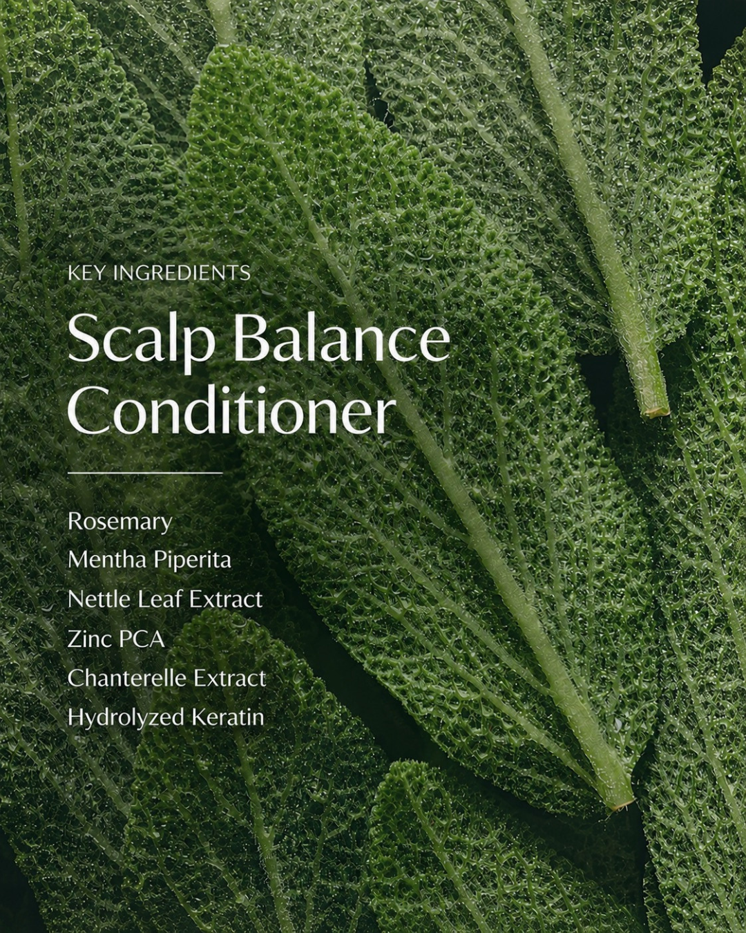 Scalp Balance Conditioner